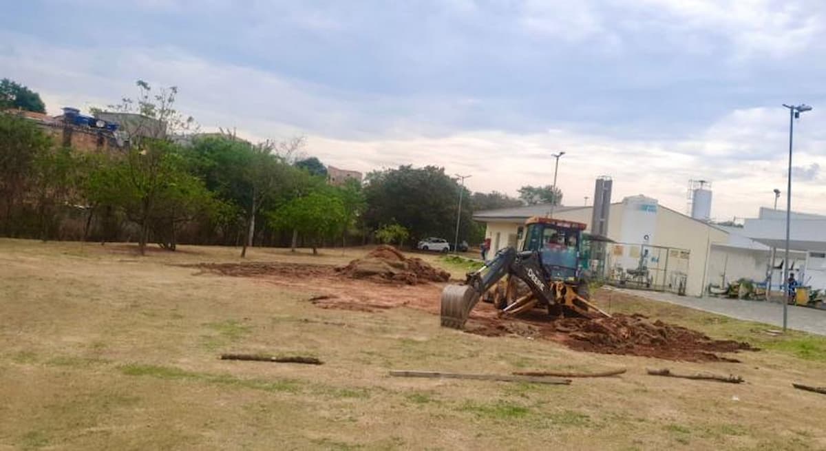 PBH inicia implantação do programa Farmácia Viva para produzir medicamentos fitoterápicos no SUS