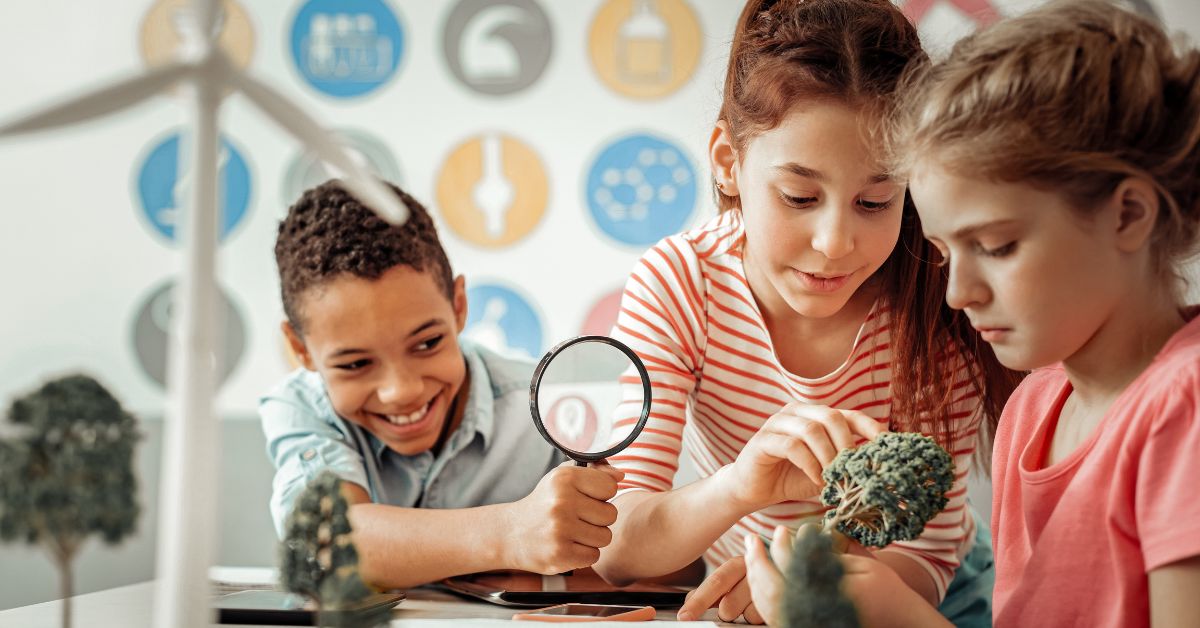 Educação midiática e ação climática nas escolas