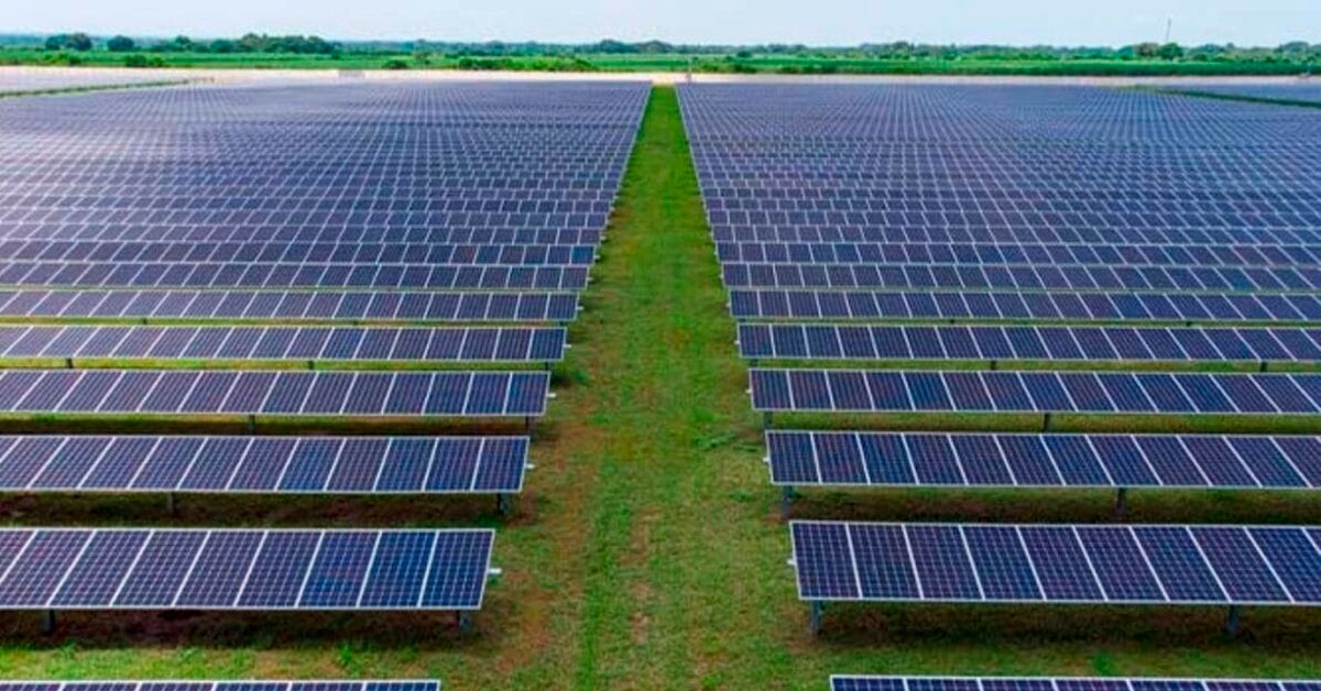 Veto do governo acende alerta no setor solar e eólico