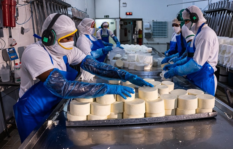 Verde Campo abre vagas em Lavras e BH; oportunidades incluem produção, laboratório e vendas