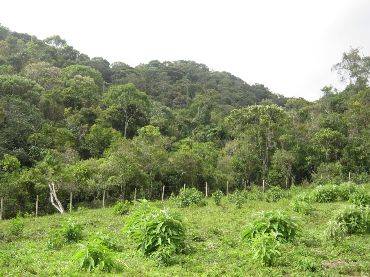 ICMS Ecológico passa a integrar Painel de Indicadores do Sisema e já soma mais de R$ 1 bilhão em repasses aos municípios