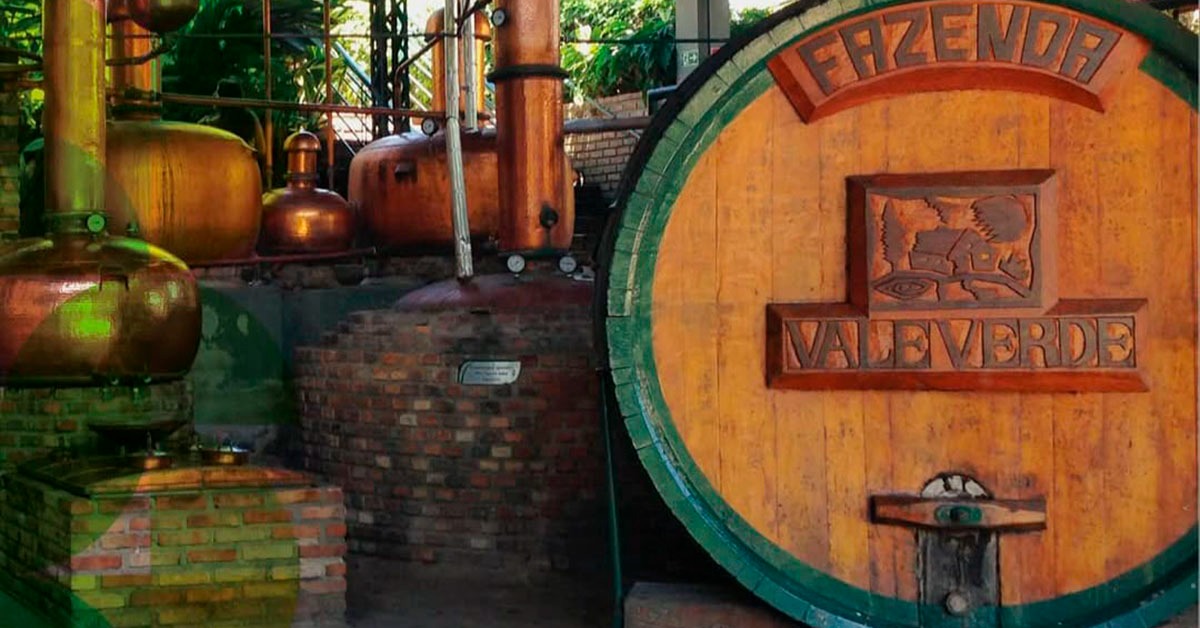 Concurso mineiro cria diploma por polo e valoriza regionalidade da cachaça