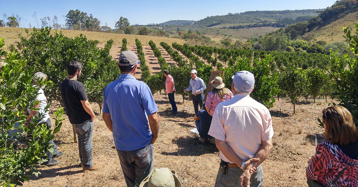Circuito Frutificaminas reuniu cerca de 1,5 mil participantes no Estado