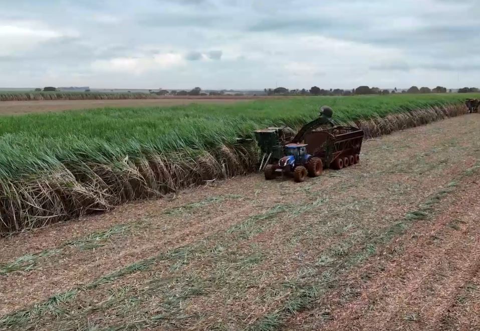 Rabobank fecha operação verde para expansão da Cerradão no Triângulo Mineiro