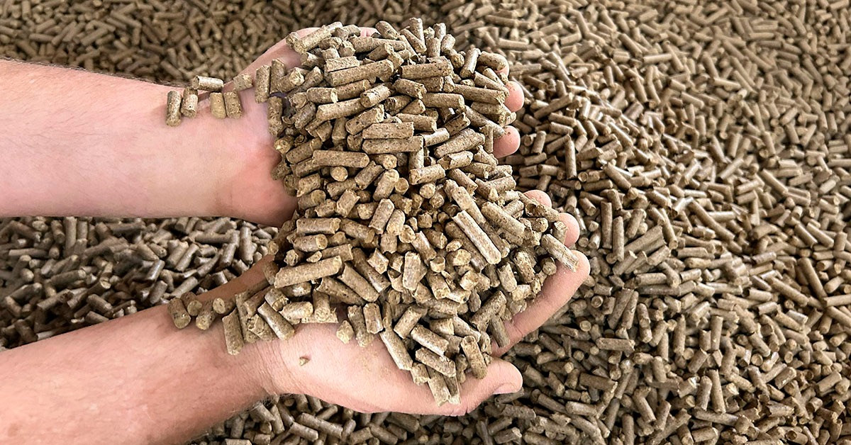 Mineira Bricoffe transforma resíduos do café em energia limpa