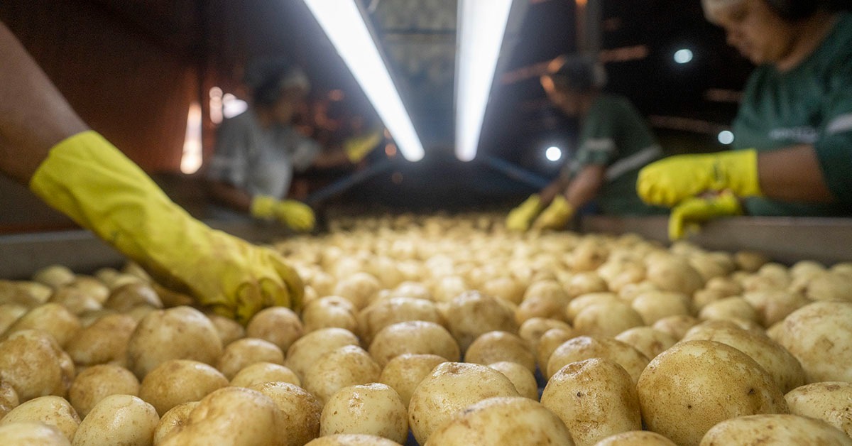 Minas Gerais atrai R$ 65,3 bi em investimentos privados em 2025