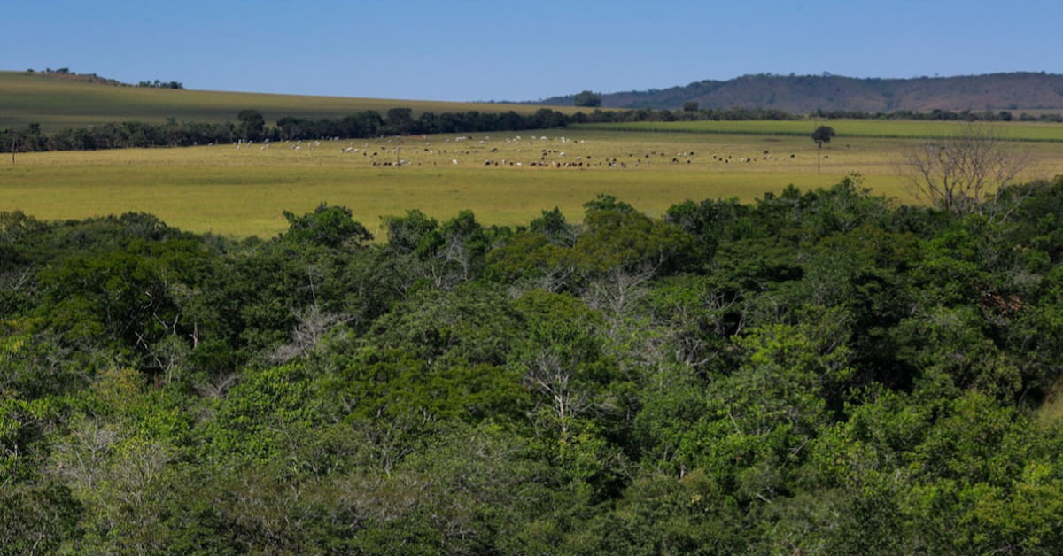 Mudanças climáticas já preocupam 86% dos produtores rurais