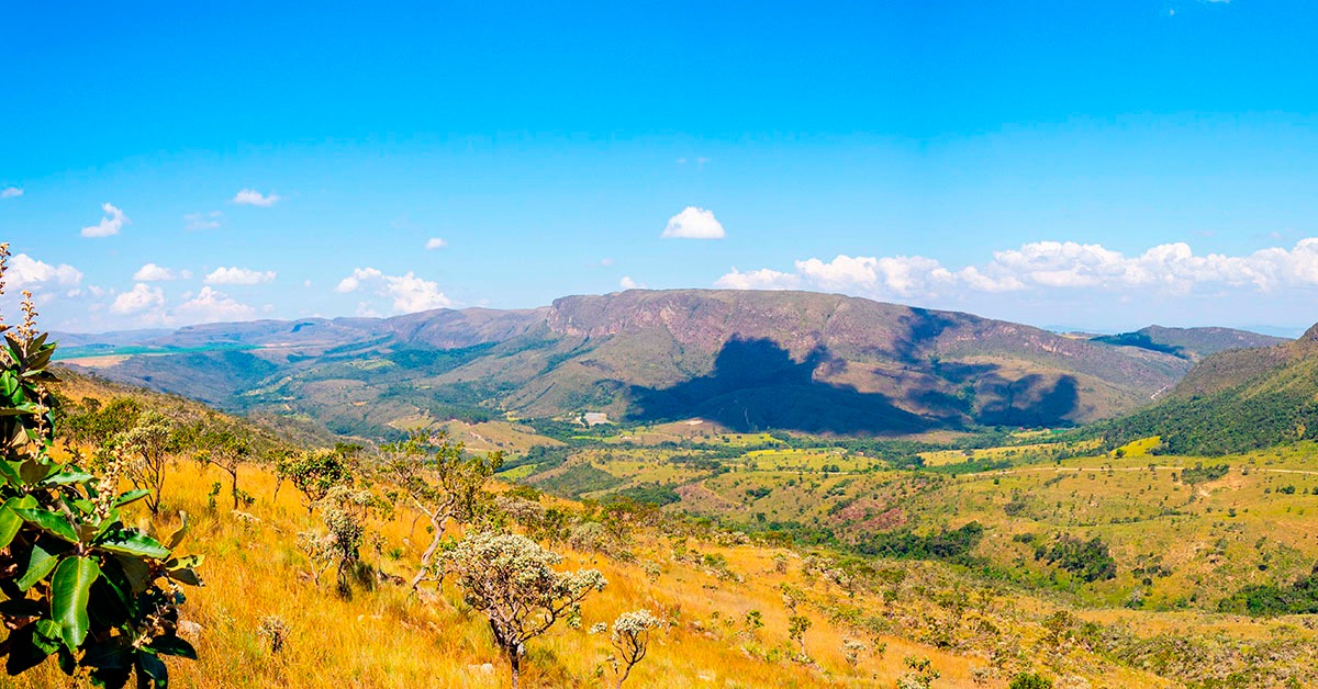 Marca ‘Território Canastra’ quer proteger produtos e valorizar cadeias produtivas locais