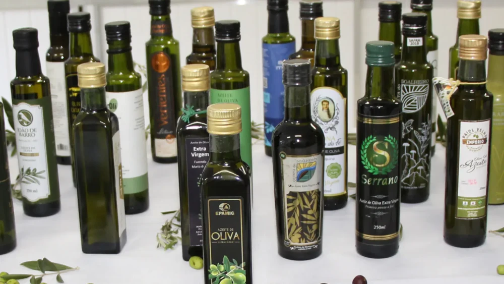 Azeite mineiro: clima impulsiona expectativa de safra histórica em 2026