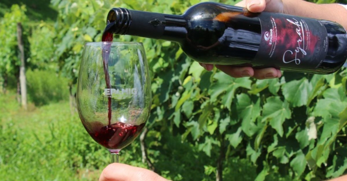 Novos vinhos exploram potencial de madeiras brasileiras