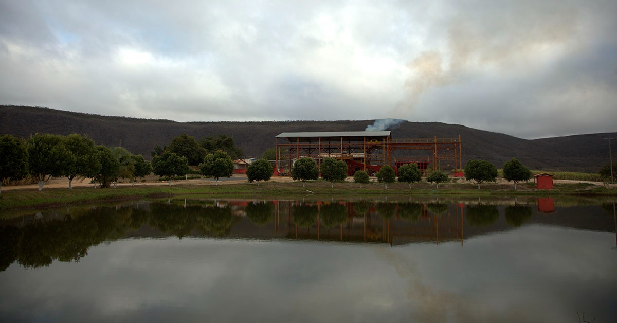 Seleta completa 45 anos com edição de cachaças especiais