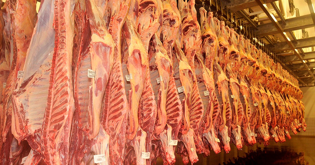 Dependência da China pressiona cadeia da carne bovina após ano recorde de exportações