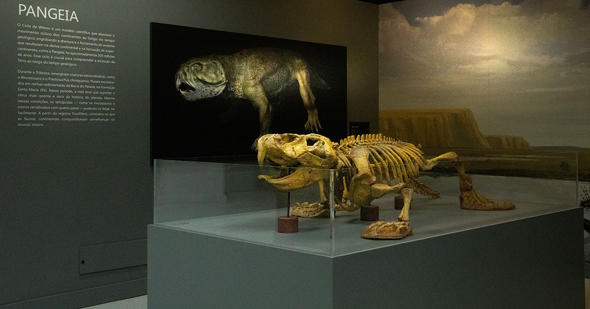 Espaço do Conhecimento promove oficina sensorial sobre a origem dos continentes