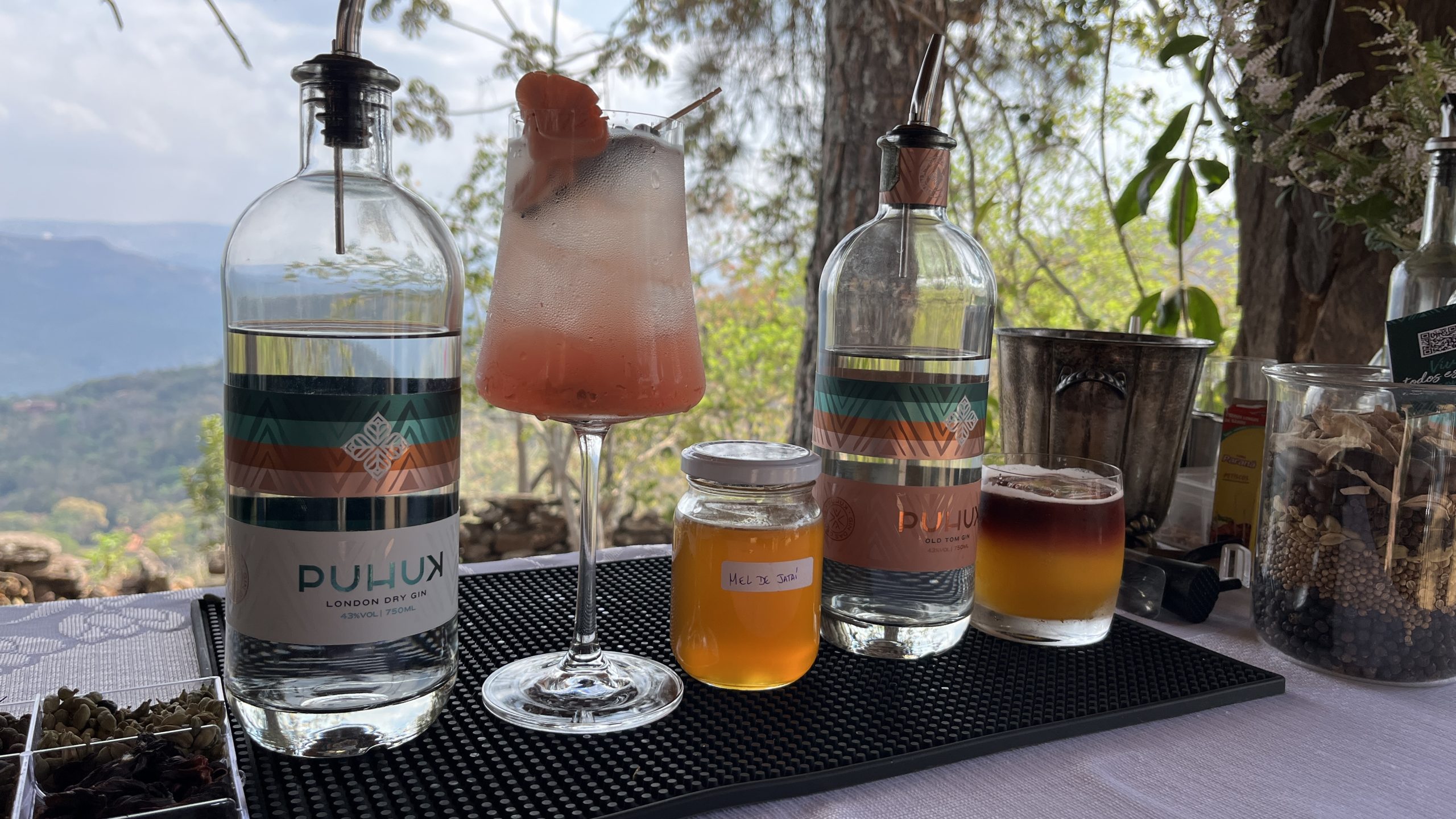 Gin feito de mel de abelha? Produtores mineiros criam receita inédita no Brasil