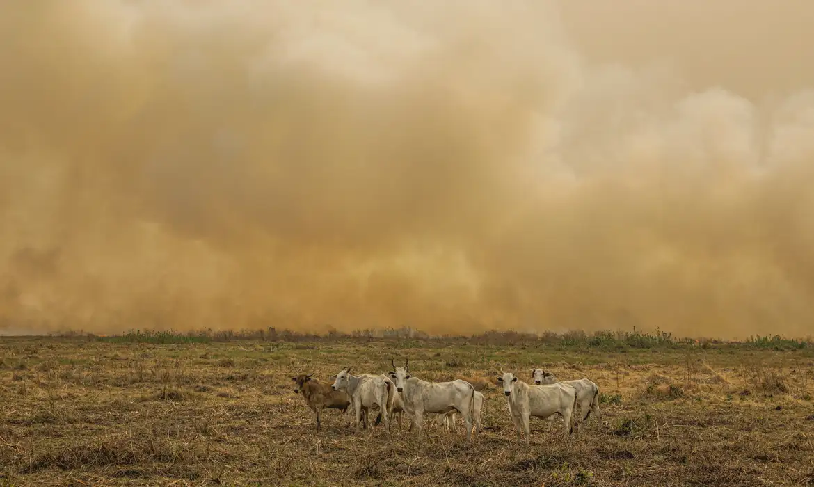 Janeiro tem número de focos de calor duas vezes maior que a média