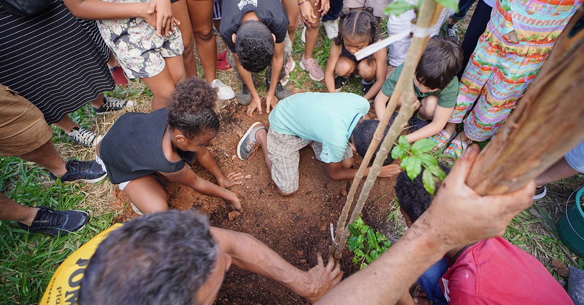 Plantio da Ong Contato