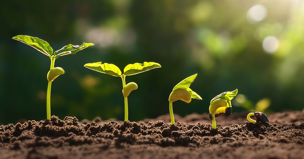 Irregularidade das chuvas marca janeiro de 2026 e acende alerta para lavouras em Minas