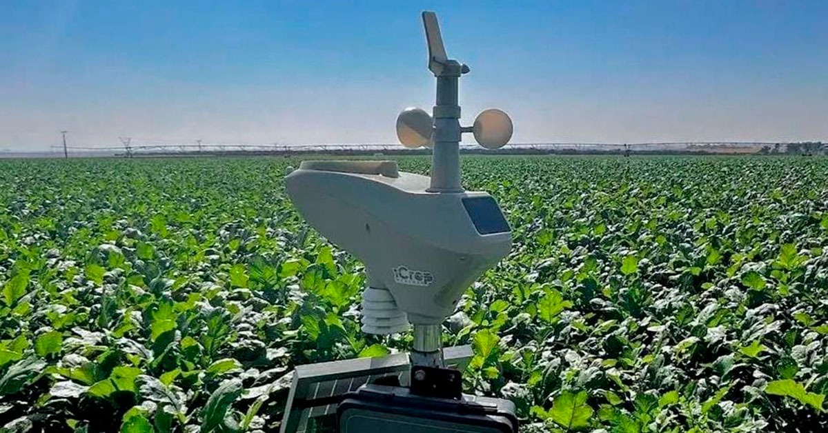 Startup mineira usa inteligência e satélites para reduzir custos e otimizar irrigação no campo