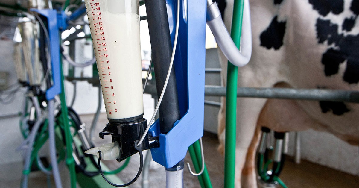 Importações mantêm pressão sobre pecuária leiteira