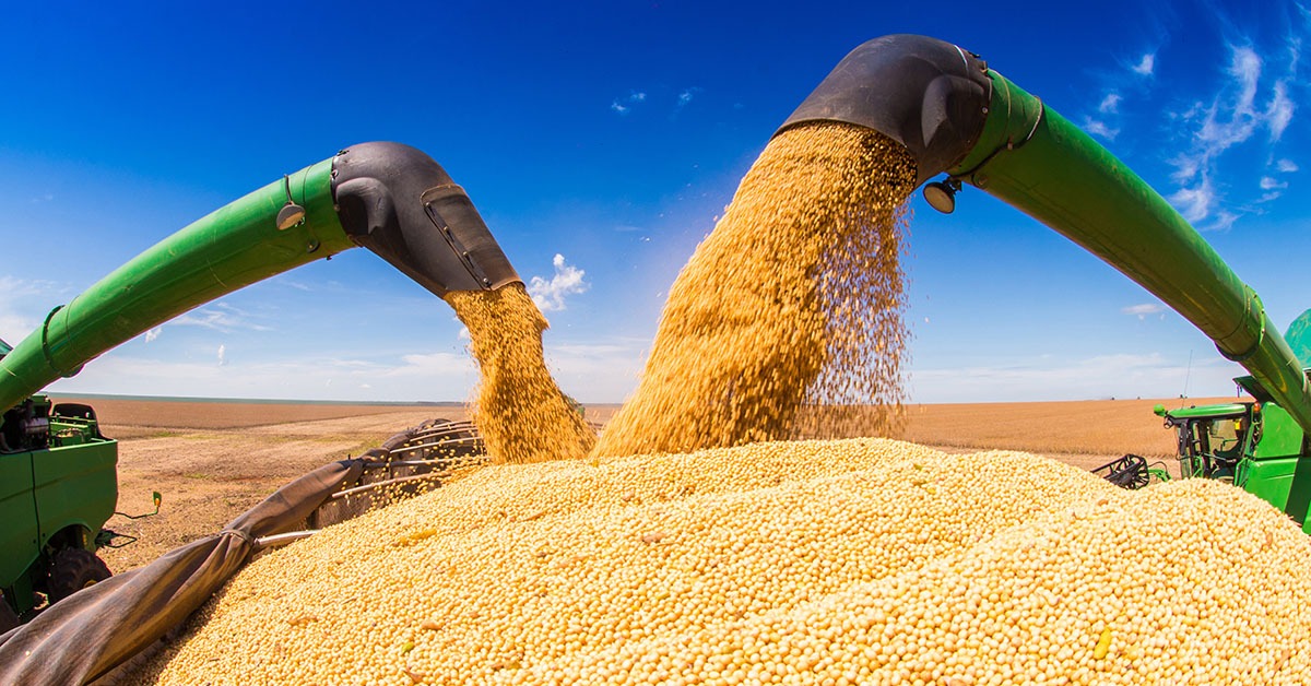 Exportação de soja em janeiro pode igualar recorde de 2024