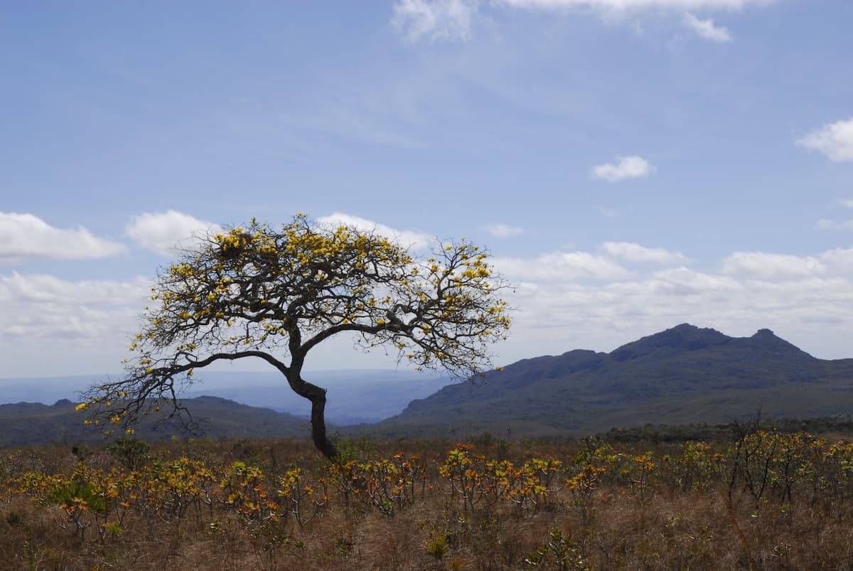 Governo de Minas abre roadshow do projeto de concessão turística do Parque Estadual do Biribiri