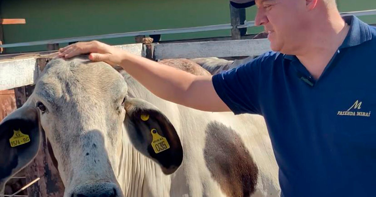 Girolando sob novo comando: Alexandre Lacerda detalha planos para enfrentar a crise do leite e avançar em genética