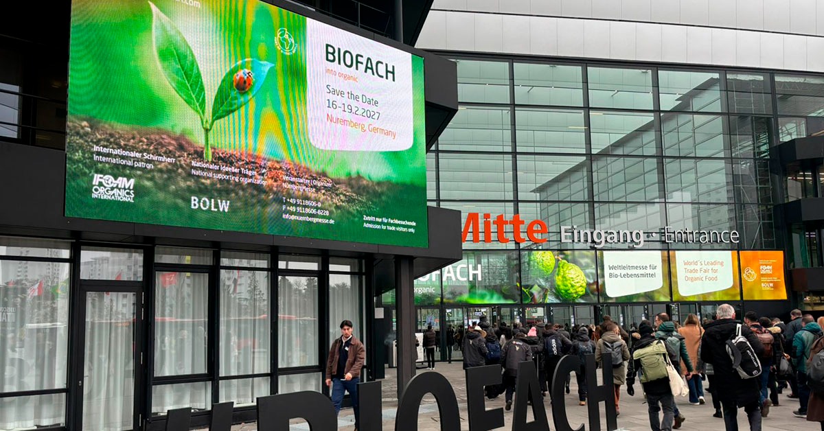 Produzida em Minas, castanha de baru ganha vitrine no mercado europeu