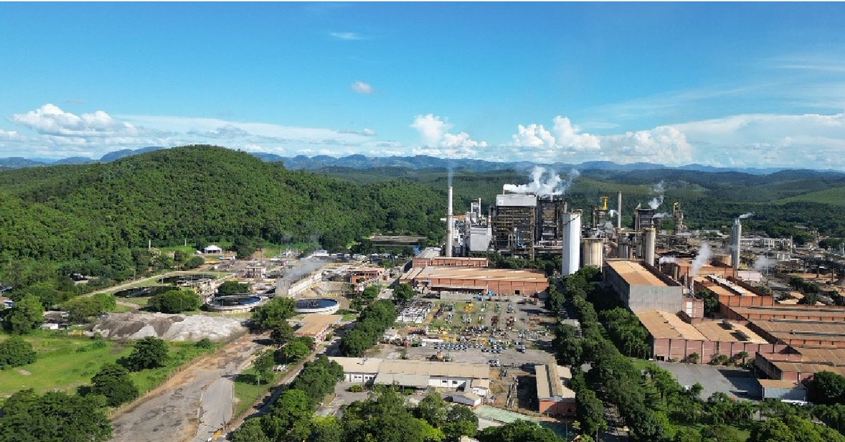 Indústria de papel e celulose cresce mais de 10% em Minas