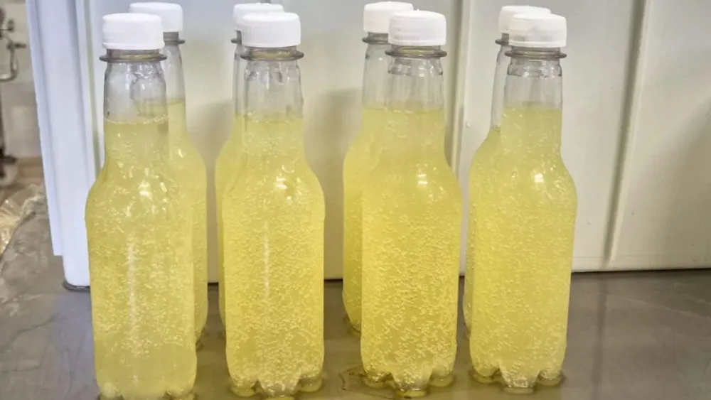 ‘Refrigerante do bem’: bebida mineira de soro de leite promete revolucionar o mercado