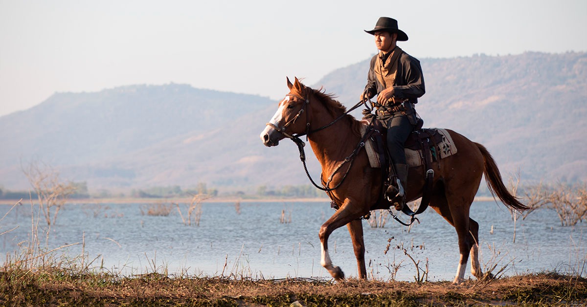 Não é obrigatório substituir chapéu por capacete no trabalho rural, esclarece Faemg