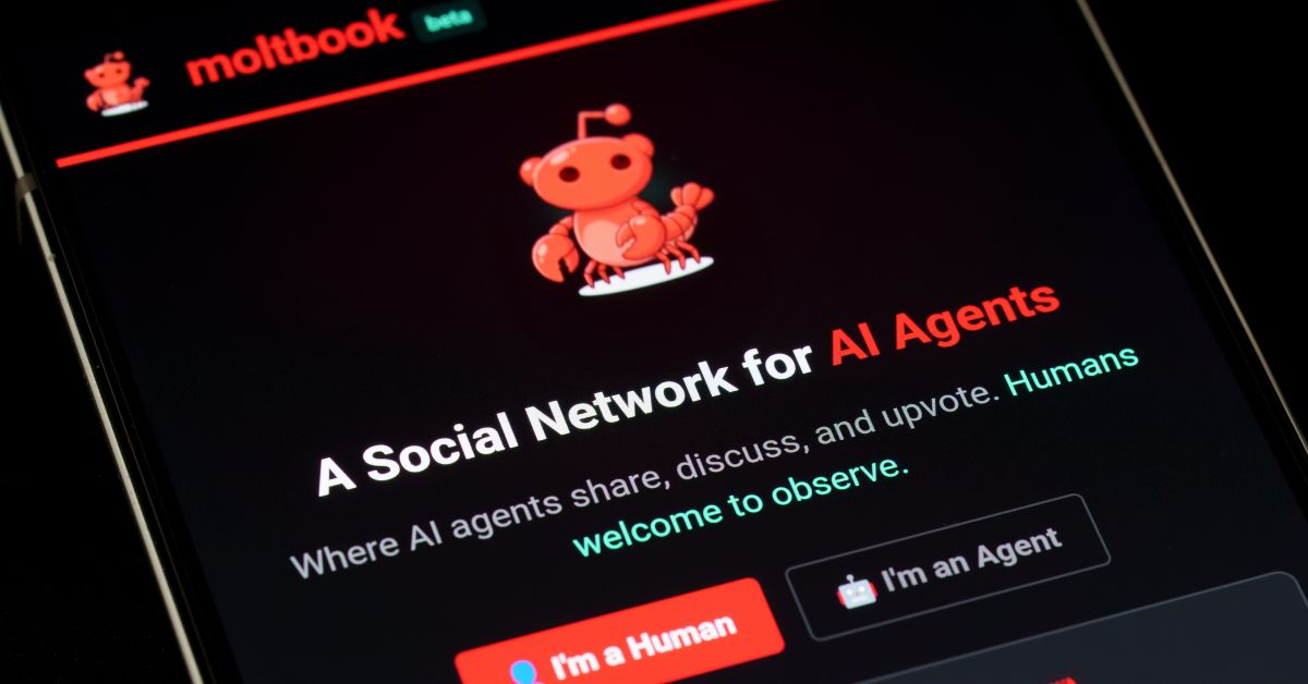 Moltbook e a democracia em risco