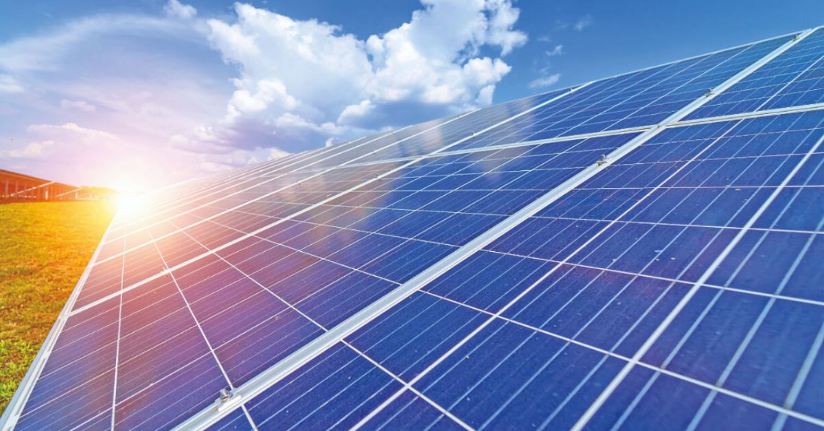 Ticket Verde: startup de BH transformou energia limpa em benefício corporativo