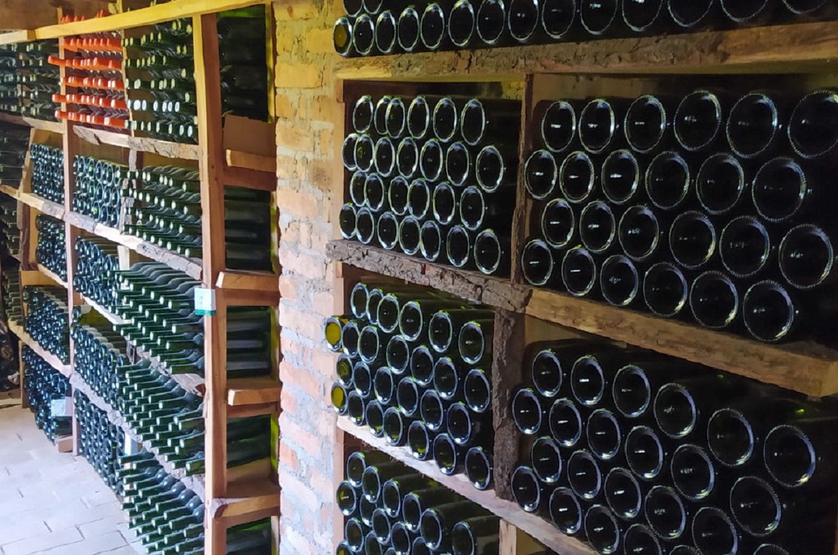 Dia Mundial do Vinho: enoturismo e ‘corpo a corpo’ para expansão do mercado em Minas