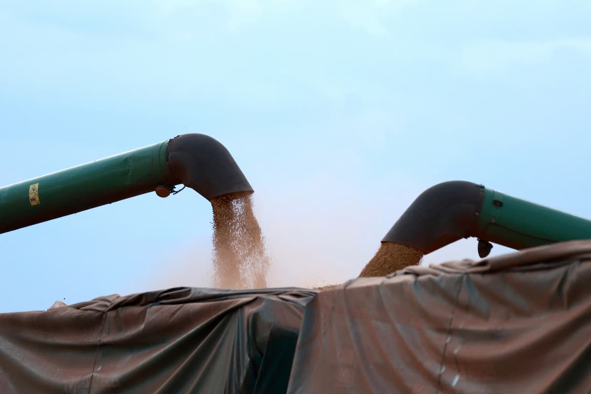 Exportação de soja do Brasil cai pela média diária em março, mostra Secex