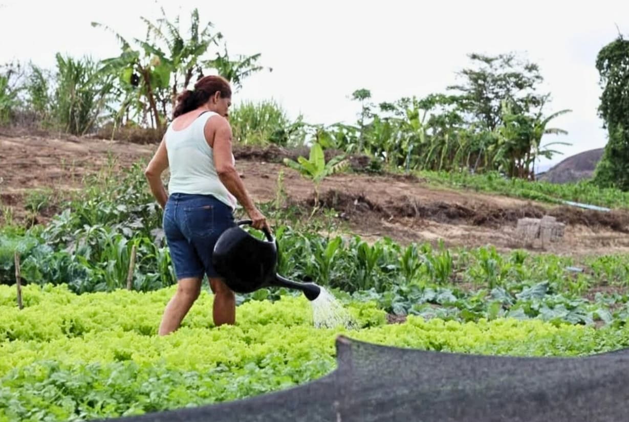Crédito nas mãos das mulheres muda a dinâmica da agricultura familiar em Minas Gerais