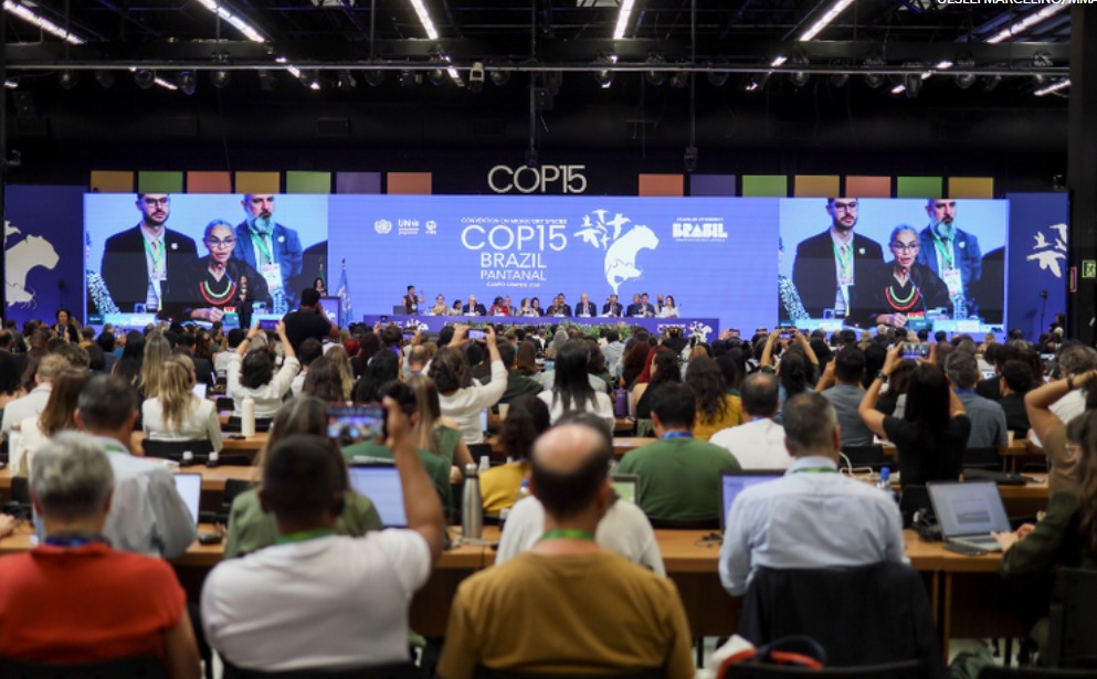 Brasil assume presidência da COP 15 com agenda histórica para conservação de espécies migratórias