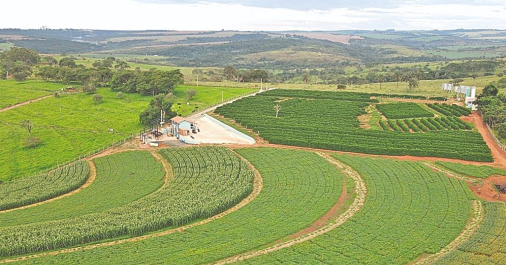 Campo Experimental da Satis