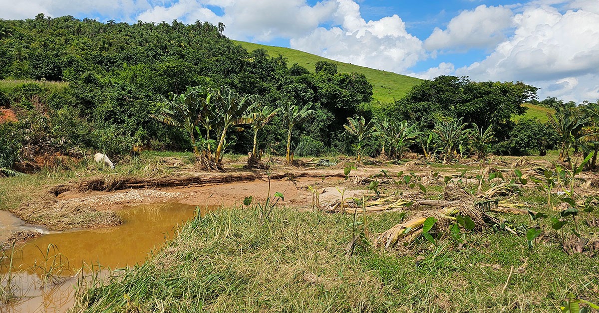Temporal devasta plantações e compromete escoamento da produção rural em Ubá