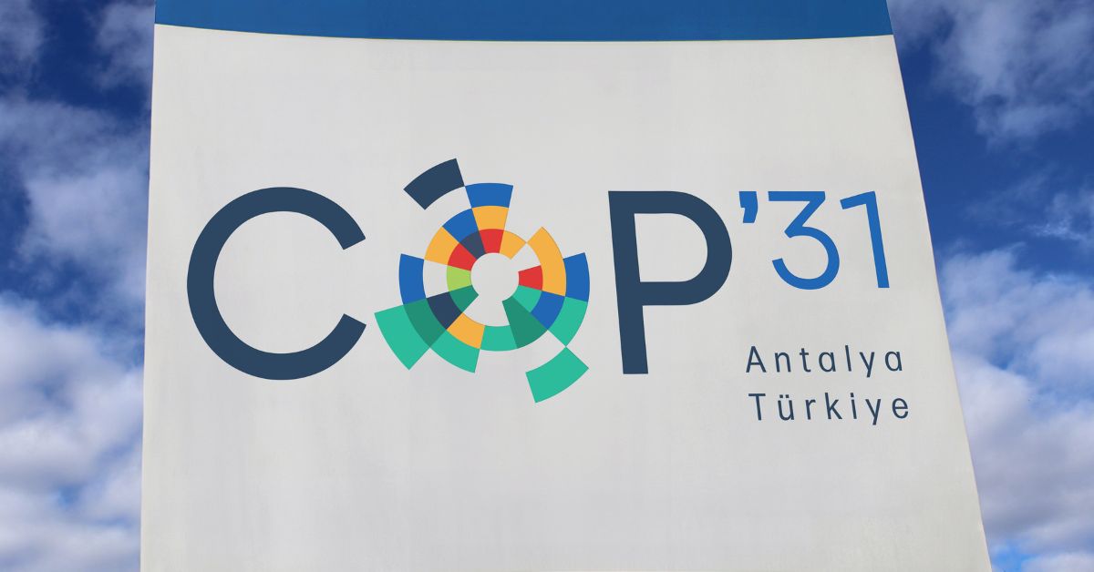 Legado da COP 31 para as empresas