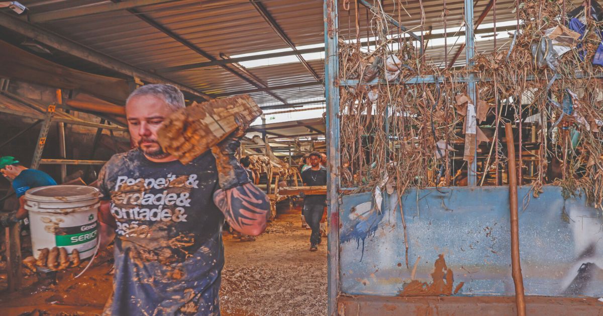 Enchentes em Ubá causam prejuízo de até R$ 650 milhões ao setor produtivo