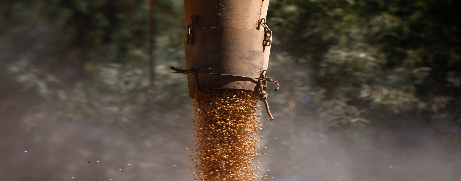 Conflito no Irã ameaça exportação de grãos e suprimento de fertilizantes do Brasil