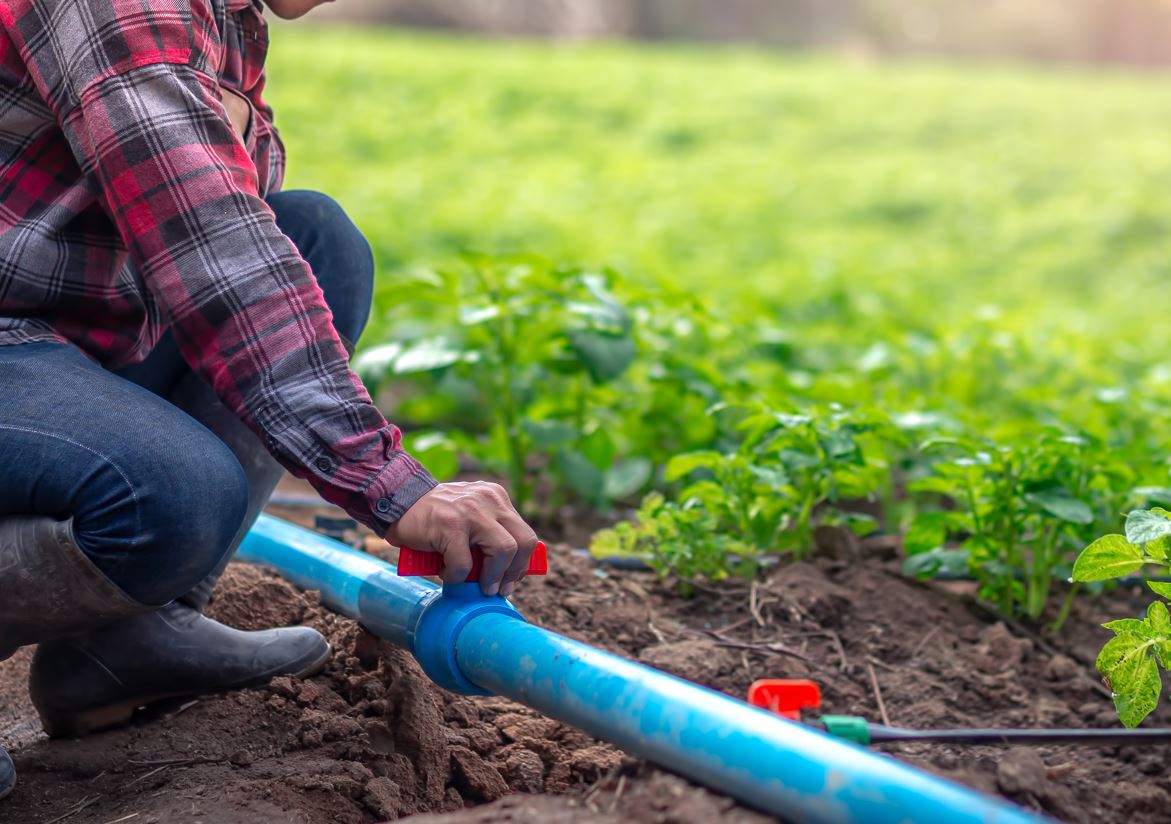 Crédito para acesso à água cresce 58% no Norte de Minas em 2025