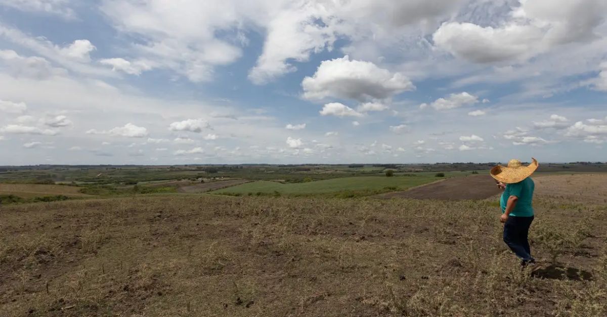 Fevereiro teve registro de seca mais branda em quatro regiões do País