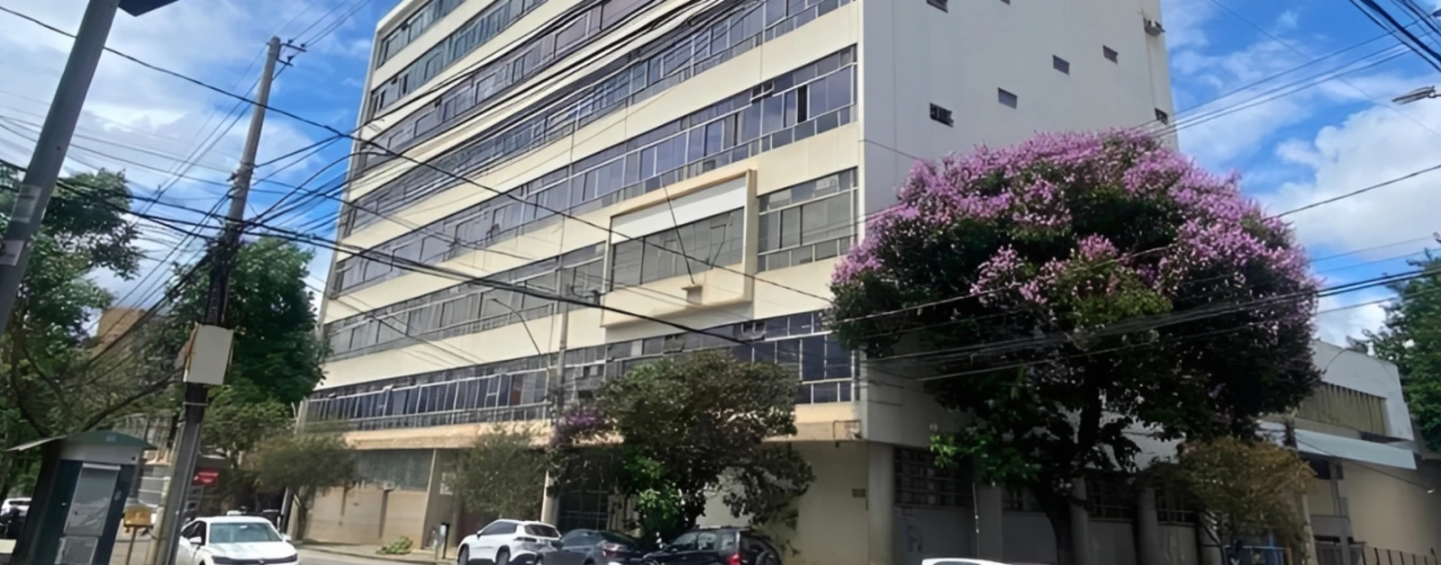 A imagem apresenta um edifício de muitos andares, de cor clara, com diversas janelas alinhadas horizontalmente. Em frente e à direita do prédio, uma grande árvore com densas flores roxas vibrantes, provavelmente um ipê, adiciona um toque de cor. À esquerda e em primeiro plano, postes de energia e uma complexa fiação aérea são visíveis. Carros estão estacionados na rua e o céu azul com algumas nuvens complementa a cena urbana.