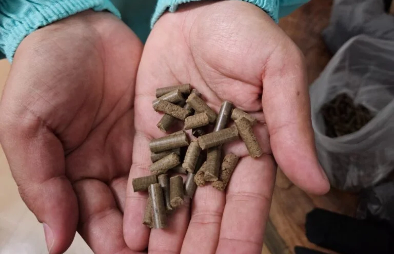 Pesquisa da UFLA que transforma resíduos do agronegócio em bioenergia tem salto tecnológico com novo equipamento