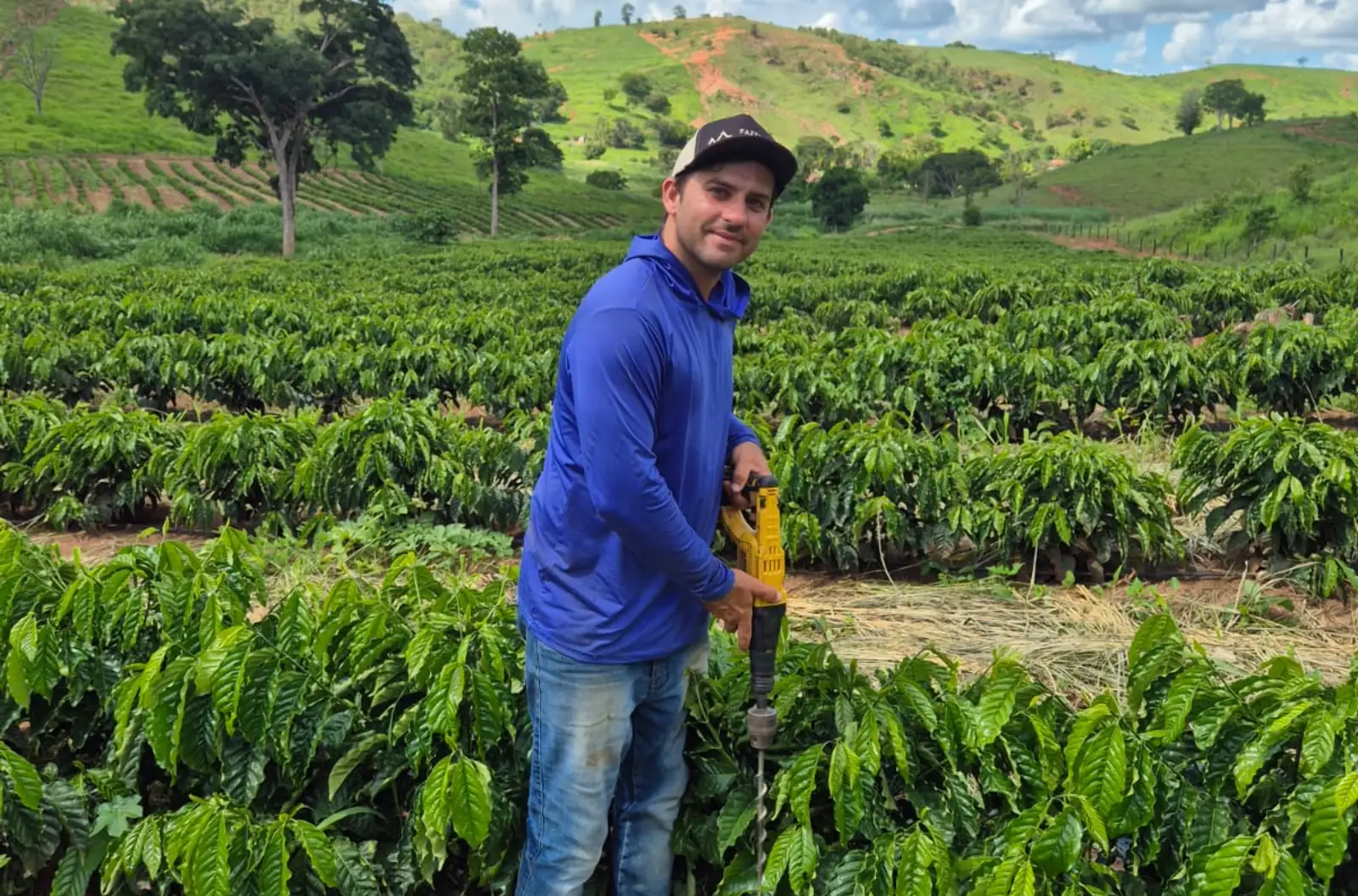 Café conilon avança em Minas e atrai produtores em busca de cultivo complementar