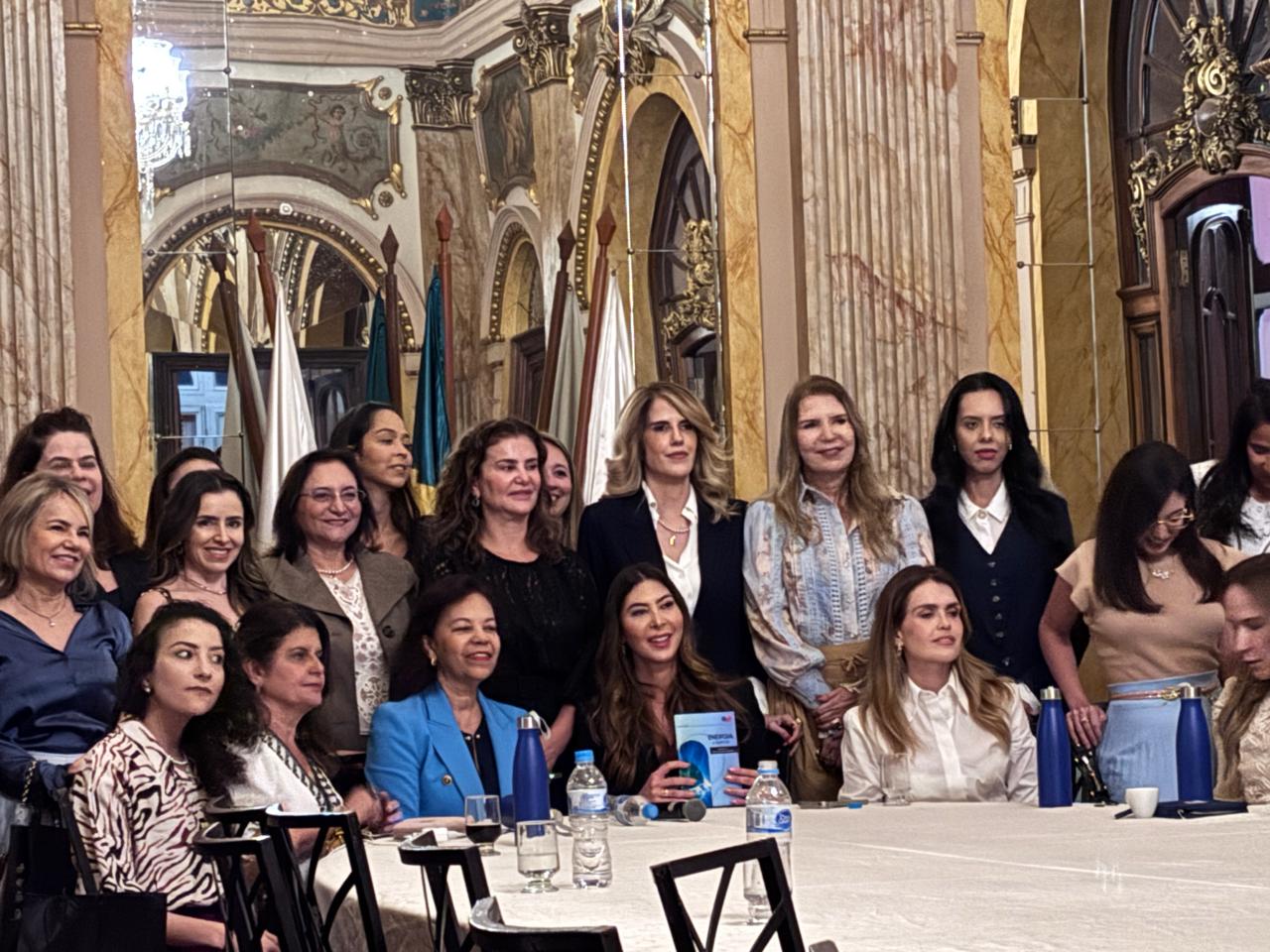 OAB entrega ao governo de Minas proposta para regulamentar armazenamento de energia no Estado