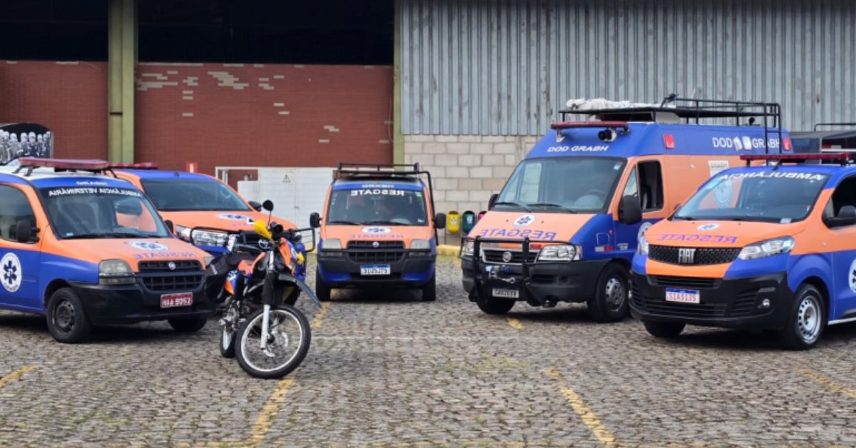 SAMUVet: atendimento de emergência para cães e gatos começa nesta segunda-feira (6) em BH