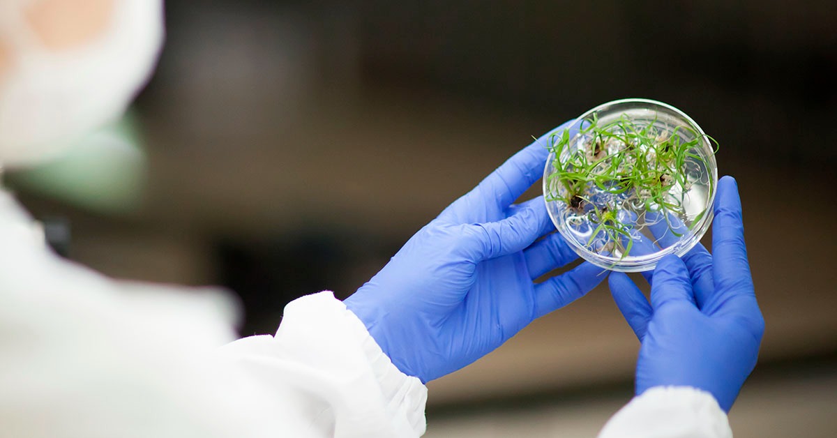 Estado mobiliza universidades e empresas na agenda climática