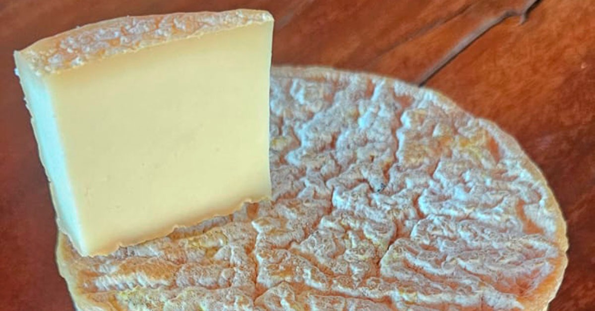 Minas Gerais domina Mundial do Queijo com mais de 170 medalhas